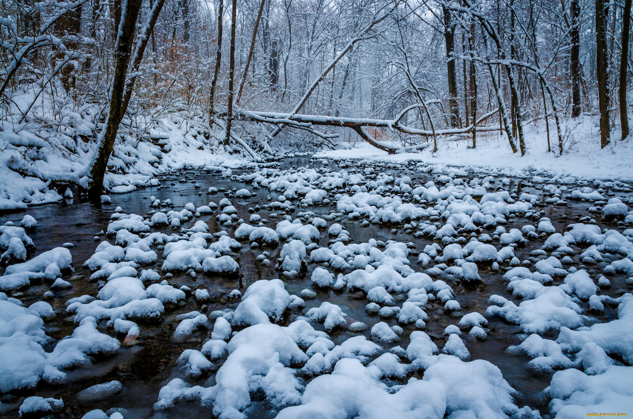 winton woods,  cincinnati,  ohio, , , , , , winton, woods, , cincinnati, ohio, 